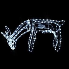 Grasendes Funkelndes LED