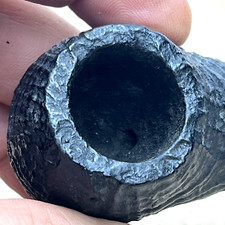 Pfeife, Pipe - BRUYERE