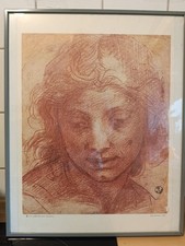 Andrea Del Sarto Testa Di