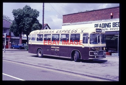 Foto royal blue geest - foto,