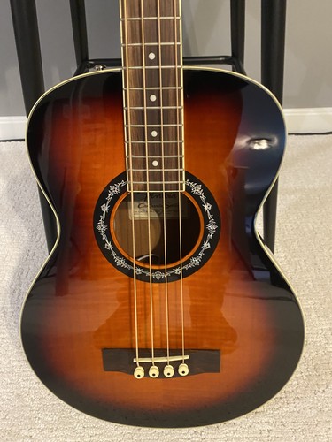 Fender bucket electric - t-bucket,