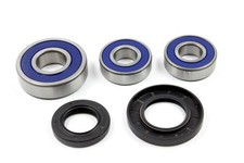 Radlager Satz 25-1269 hinten