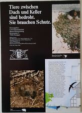 Poster: Fledermäuse: Tiere zwischen Dach und Keller. Baden-Württemberg. 1996.