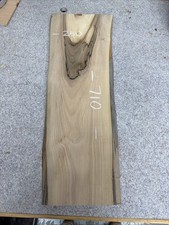 Italienischer Nussbaum