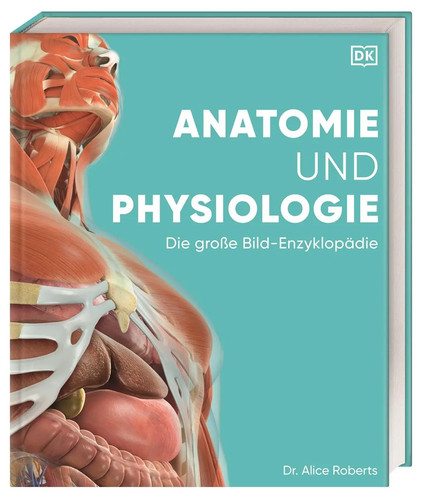 Anatomie und physiologie - anatomie,