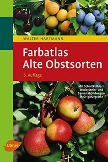 Farbatlas alte obstsorten von - alte,
