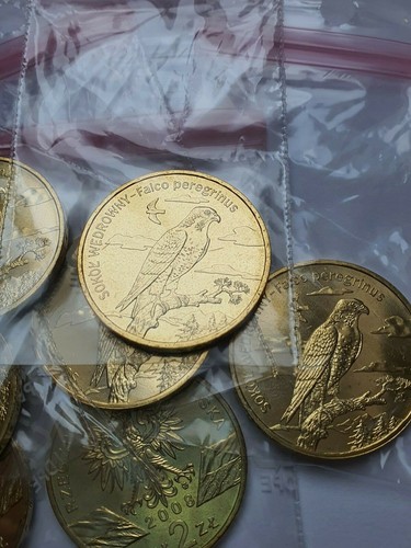 Zloty 2008 sokol - 2008,