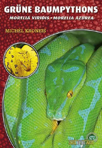 Grüne baumpythons morelia - grüne, |