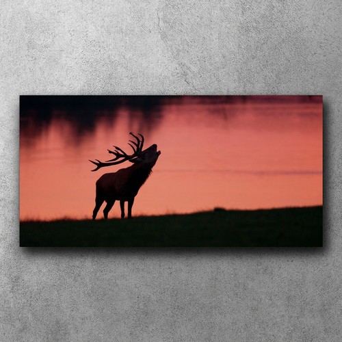 Leinwand wandbilder canvas - leinwand,