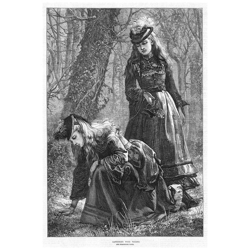 Victorian teenage girls - victorian,