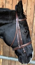 Braune Kandare für Warmblut 