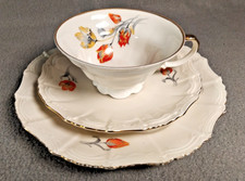 Sammeltasse mit Unterteller