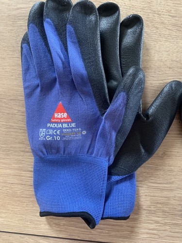 Hase padua blue - hase,