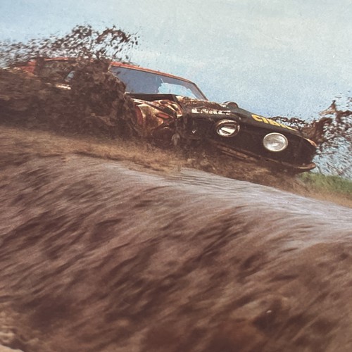 Buch der rallyesport 1981 - rallyesport,