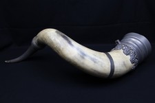 Großes trinkhorn 70 cm - 70,