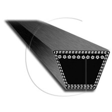 Riemen/  HAKO: Variette Typ 4L