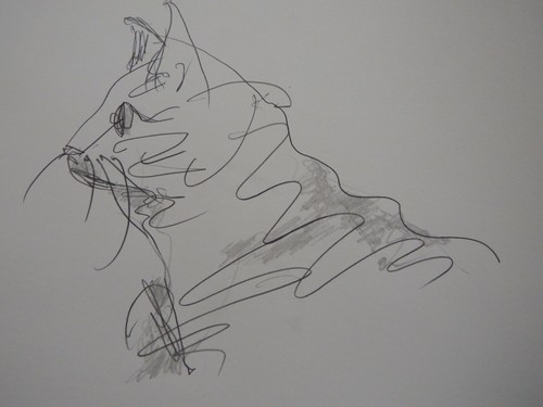 Bleistift picasso katze - bleistift,