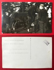 Privat Foto AK BUNZLAU in