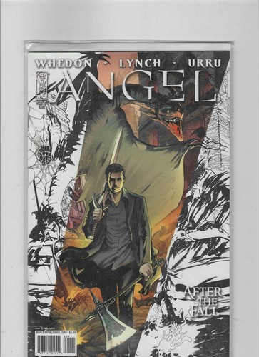 Angel after the fall cover - the,