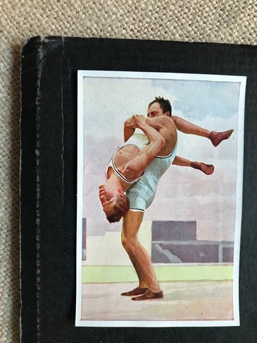 Sanella bild handbuch - bild, "