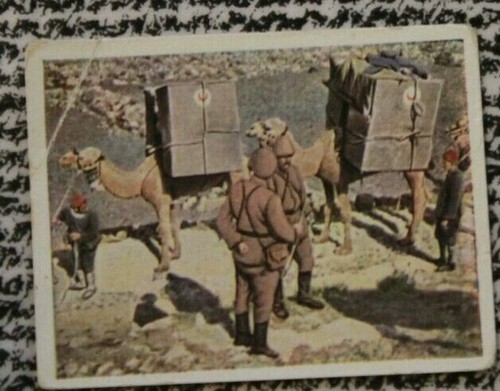 1wk bild sammelbild - 1wk, 1915