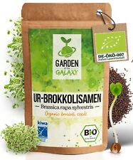 Bio Brokkolisamen Brokkoli Öko Keimsprossen - Brokkolisprossen Sprossenzucht