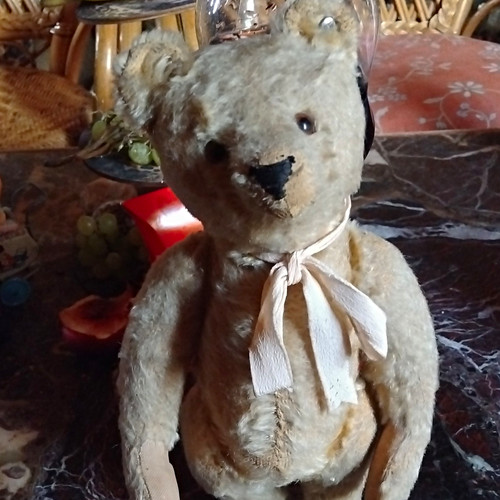 Steiff vorkriegs teddy - vorkriegs, mit