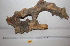 Holzwurzel DIY Terrarium Deko