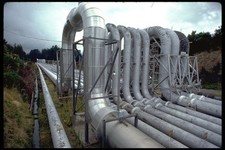 489019 Dampfrohre am