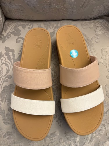New reef banded - reef,