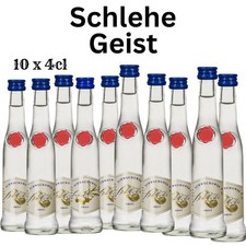 Obstgeist Schlehe 10x4cl (40%Vol) Schlehengeist Schnaps klar | kleine Flaschen