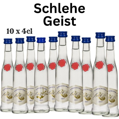 Obstgeist schlehe 10x4cl - obstgeist,