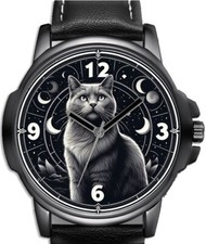 Schwarze Katze Und Mond Thema