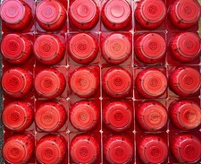 NFXI-OPT Notifier x30