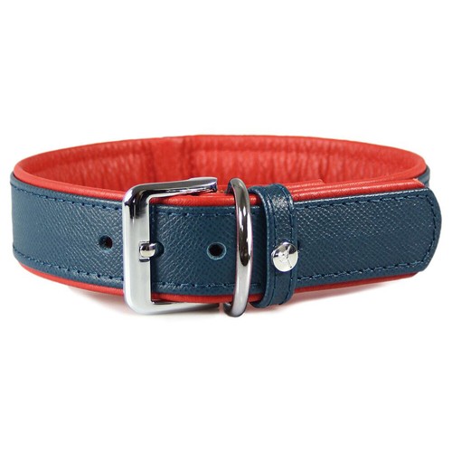 Das lederband hunde - das,
