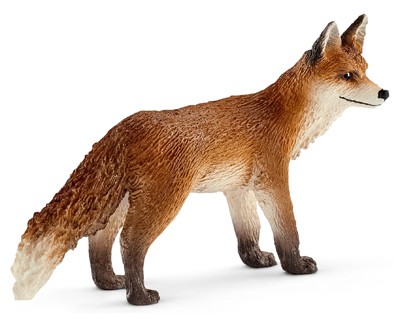 5er pack rotfuchs - pack,