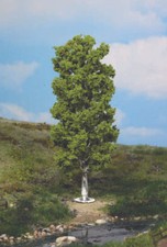 Heki 1984 Birke Baum Laubbaum