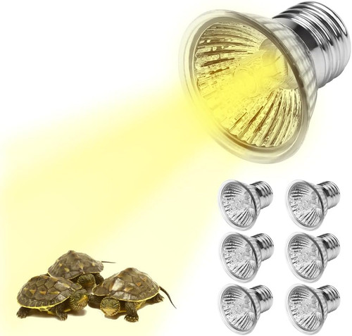 Reptilien terrarium - reptilien,