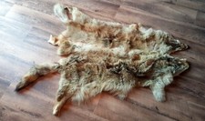 Fell 2 x Echtfell Coyote Kojote Kojotenfell Stola Schal mit Fibel