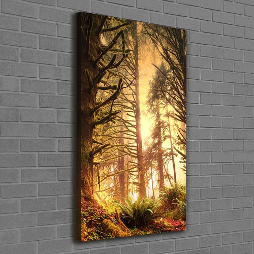 Leinwand bild kunstdruck - leinwand-bild,