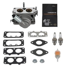 Vergaser for Briggs & Stratton