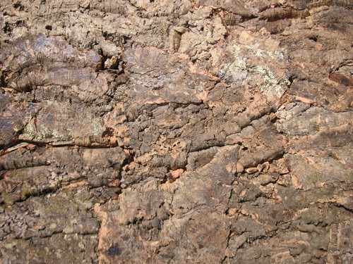 Korkrückwand natur 60x30 - korkrückwand, cm
