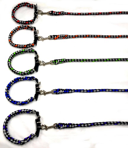 Hundeleine hundehalsband set - +,