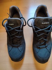 Lowa Renegade EVO GTX Lo WS