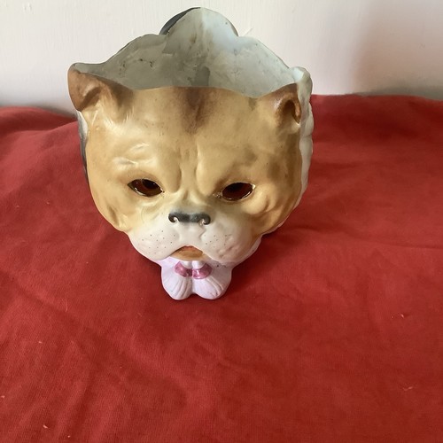 Katze hund eule - lampe, drei