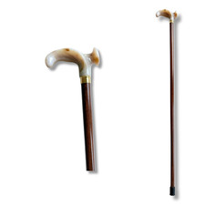 Anatomischer Gehstock links