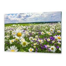 Glasbilder Wandbild Druck auf