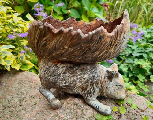 Eichhörnchen verrostet