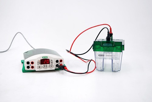 Bio rad criterion - cell, and