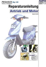 Reparaturanleitung RIS für